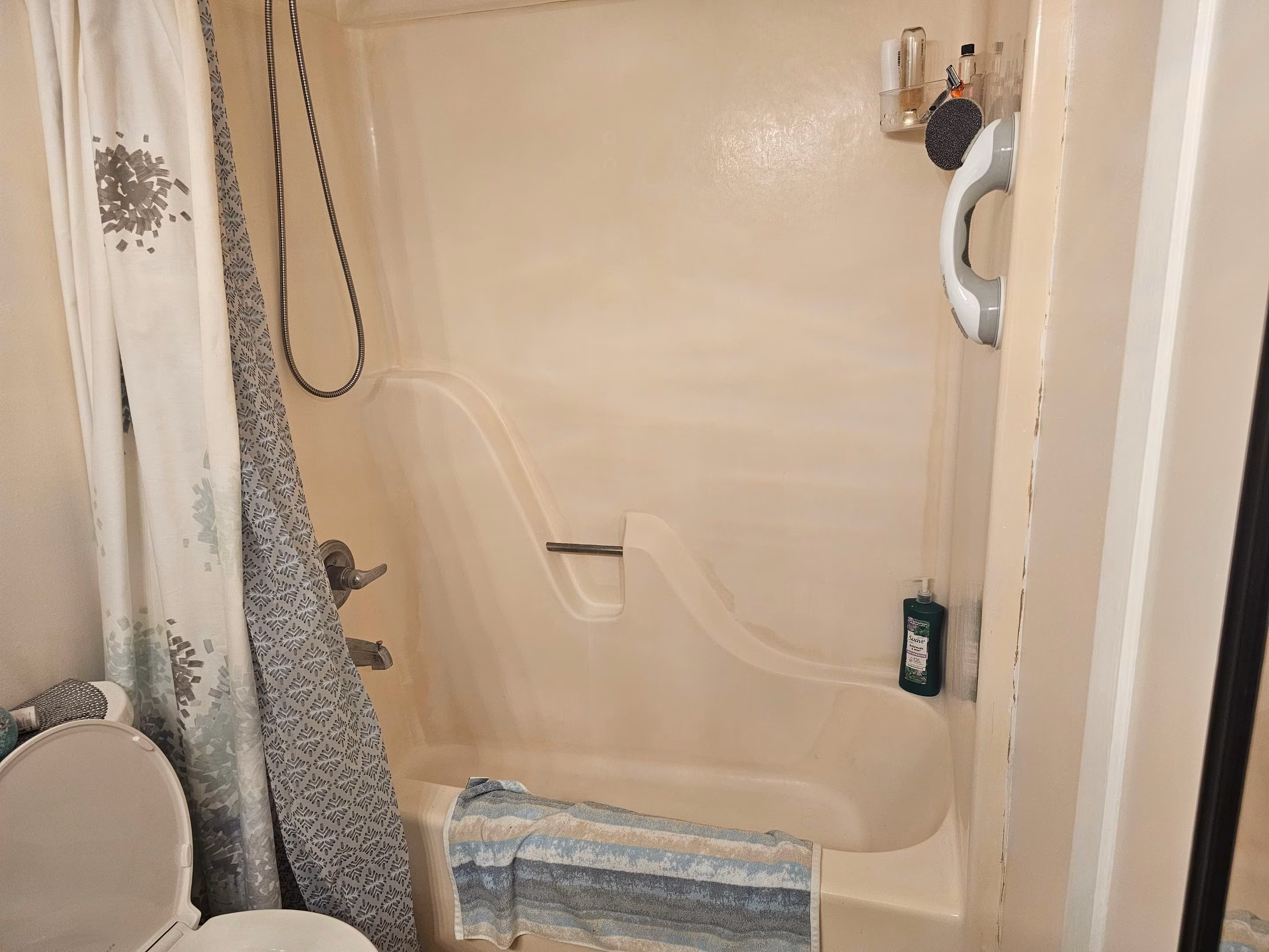 Moldy Grout 